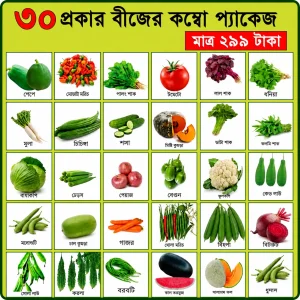 ৩০ প্রকার বীজ